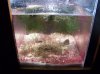 refugium 032.jpg
