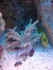 DSC00297.jpg