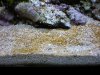 DSCN0107.jpg