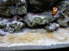 DSCN0108.jpg