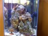 fish322a.jpg