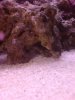 DSC00563.jpg
