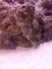 DSC00572.jpg