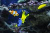 DSC_4012.JPG