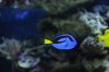 DSC_4013.JPG