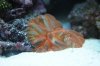 DSC_4036.JPG