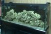 3-27-09.jpg