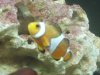 fish 016.jpg