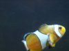 fish 019.jpg