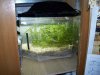 refugium build 005.jpg