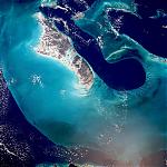 reefbuzz