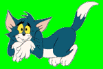 RCBruce