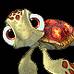 squirt24