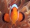 mm2002