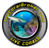 thecoralbroker.com