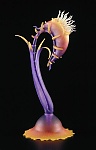 Torch jockey