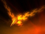 phoenixhieghts