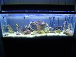 JEWELEDAQUARIUM