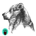 shipbear
