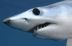 SeaGirl