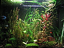 FishHobby
