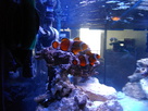 Strickland_673