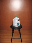 dap04g