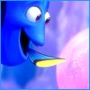 BorntoReef