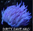 dirtydavenkc