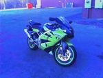 grasshopper