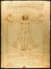 TheReefDaVinci