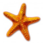 UnderTheSea