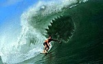 surferdude