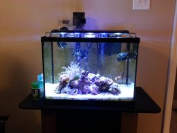 Reeferman360