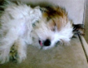 clarky2120