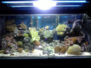 jsreef218