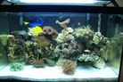 OverStocked