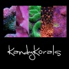 KandyKorals