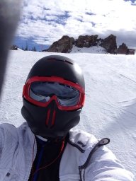 BoBo65
