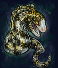 Moray Eel
