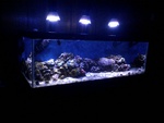 MrOcean