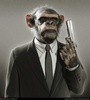 KillerChimp3600