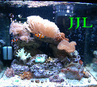 JJL
