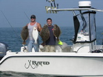 Tautog