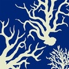 LadyReef
