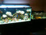 BlueWaters10