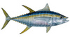 smellsliketuna