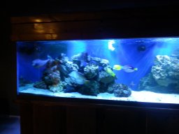 Reefing Madness
