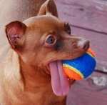 Maybelle