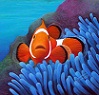Little Fishy
